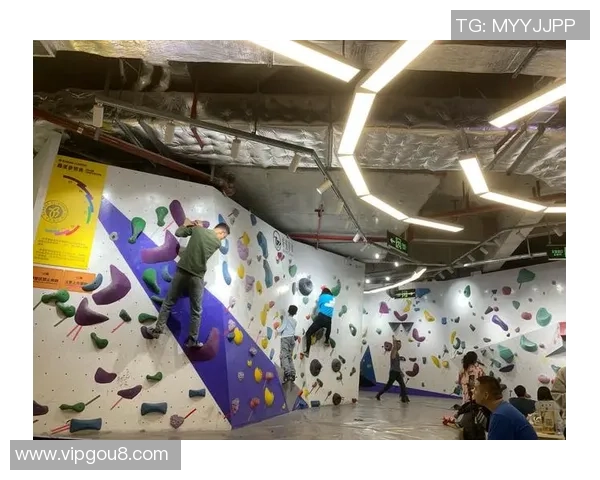 武汉攀岩队的防守策略揭秘与深度分析攀岩技巧的结合与应用