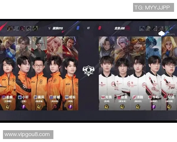 王者荣耀深度解析：揭秘JDG战队的成功比赛策略与经验分享