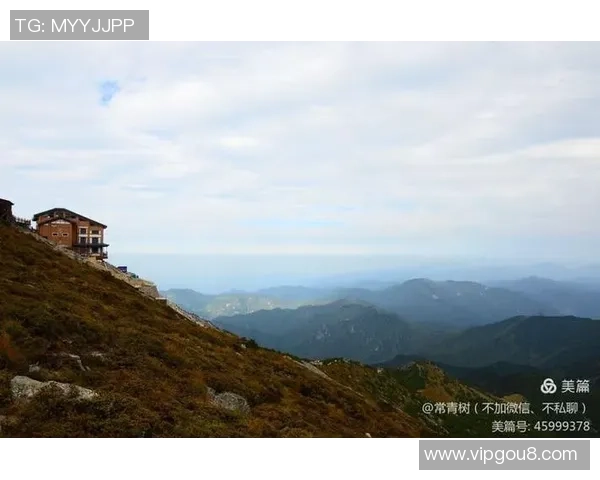 仙台七仙与山形山神激战在即谁能在这场对决中笑到最后